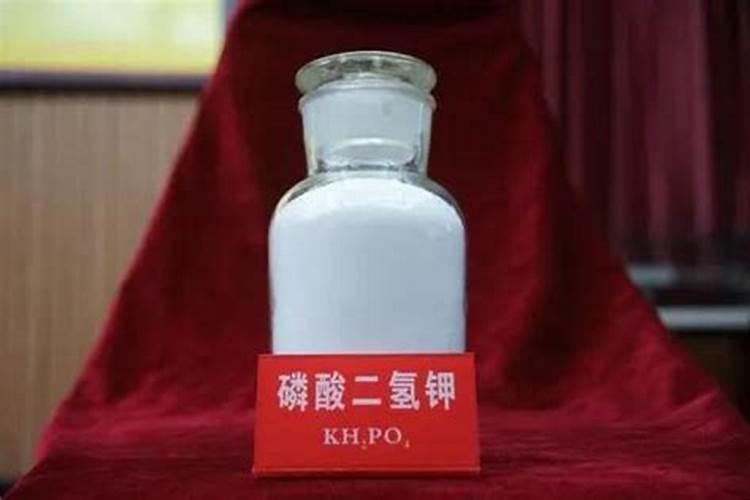 柑橘开花之际用哪种肥料比较好