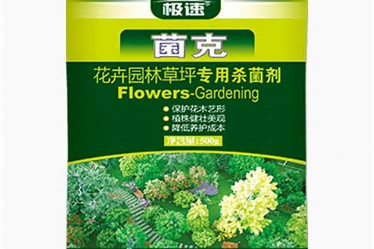 草坪怎么灌根 我这草坪出现大面积腐霉枯萎病 要用什么药灌根 具体怎 ...