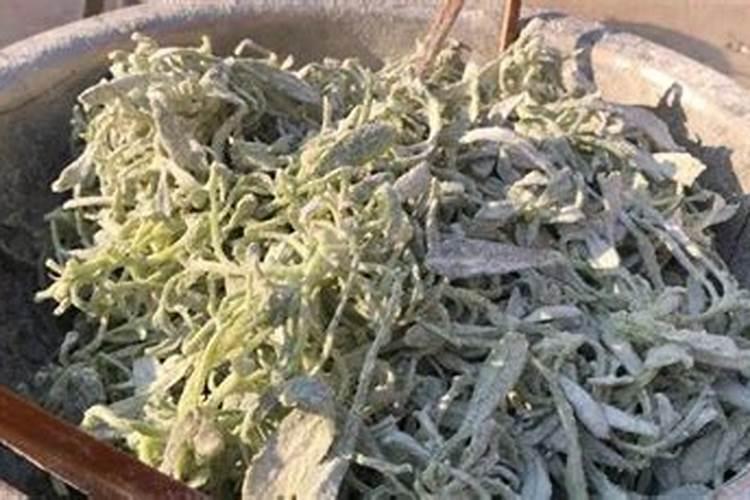 种菜用什么追肥长得快