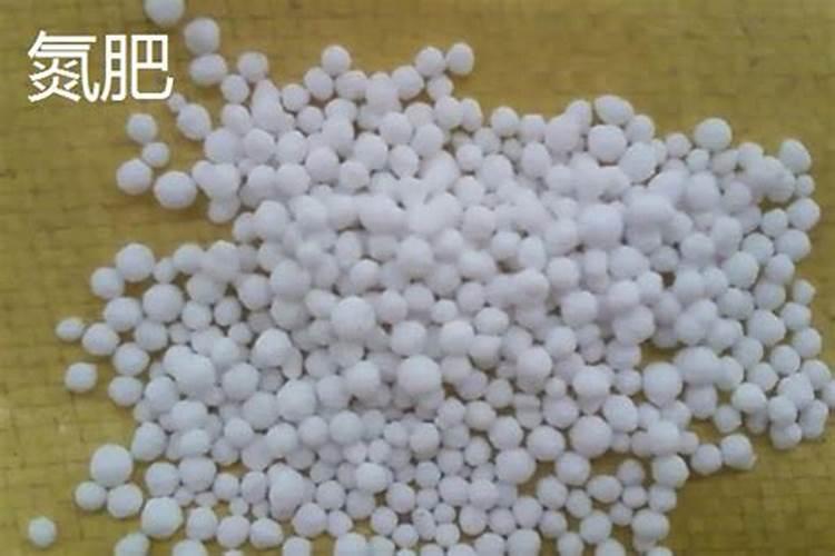 给花施肥用什么肥料,香油饼怎样做花的肥料