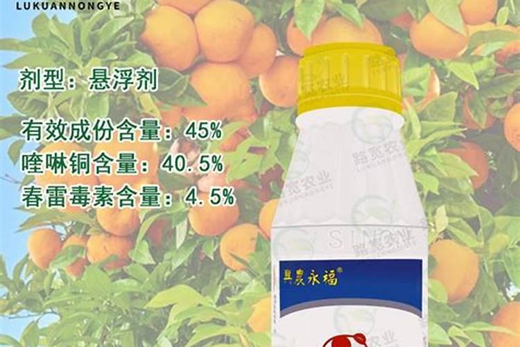 大棚红提葡萄白粉病的治疗方案