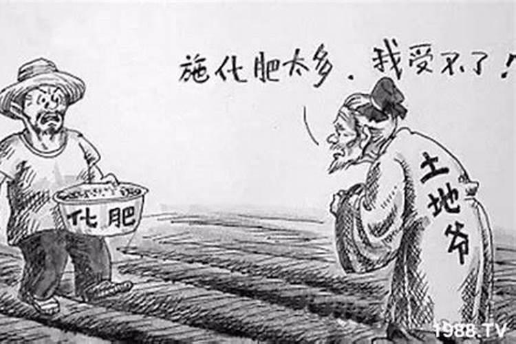 水溶肥排名前十位的有哪些品牌