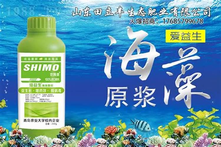 盆栽龙眼种植盆栽方法有哪些