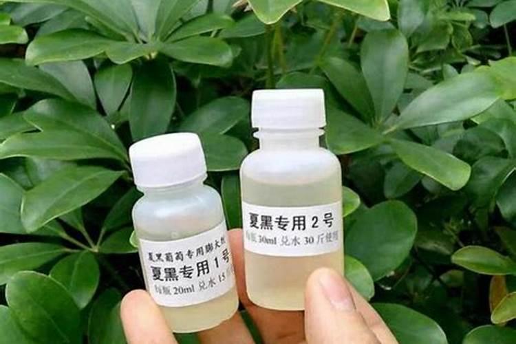 苹果膨大剂什么时候可以打？苹果叶面喷什么肥料长势好？