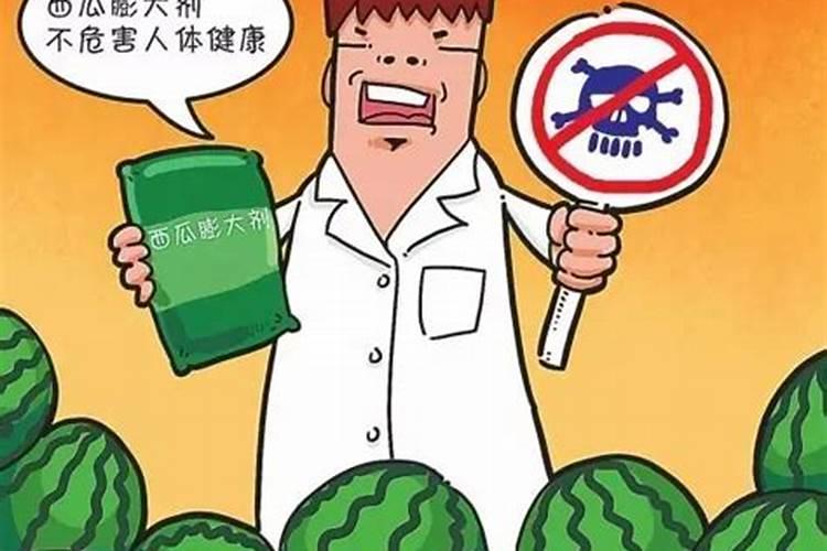 葡萄这么大,都是用了膨大剂、催熟剂的？别再被谣言坑了