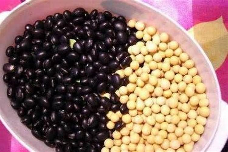 黑豆和黄豆的区别