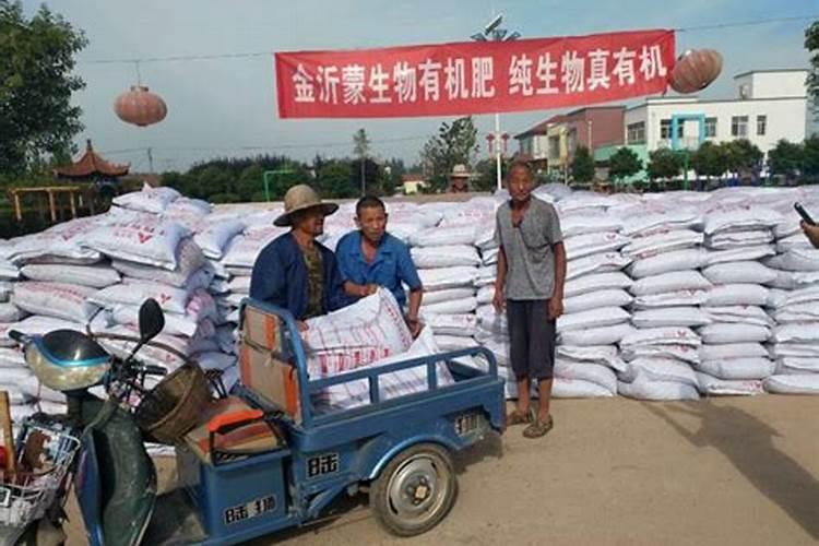 用什么肥能让柑橘上色增甜好