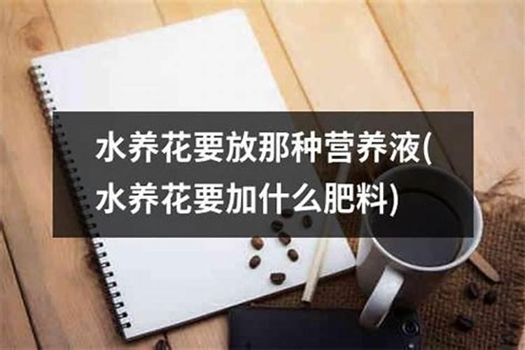 水养花的水里放什么好