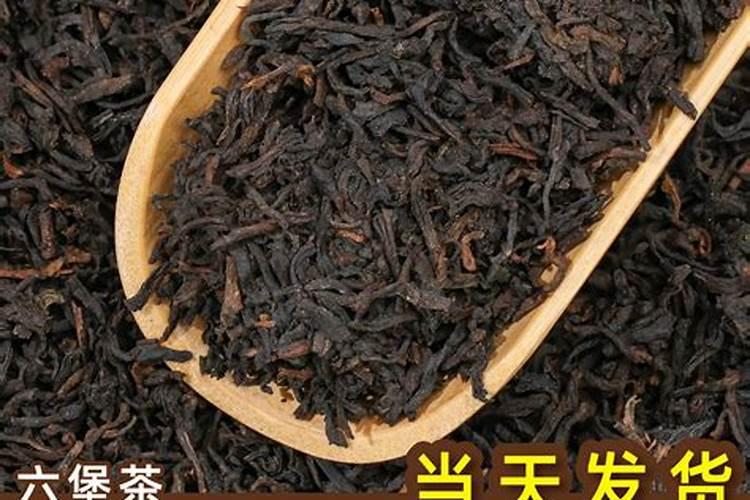 茶叶种植用什么肥料合适？春季茶叶高产专用肥昆仑风？