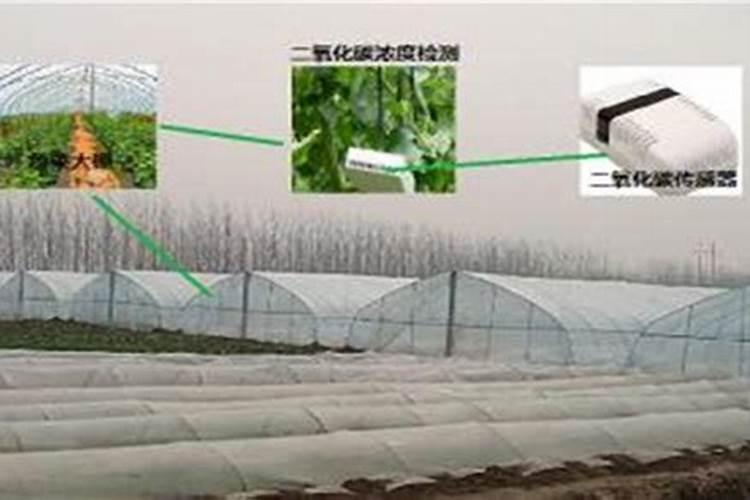 如何利用二氧化碳发生器进行二氧化碳施肥？