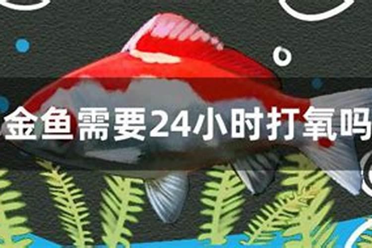 鱼塘里可以撒化肥吗