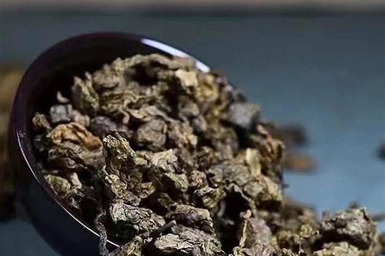 北方沉香盆栽怎么养