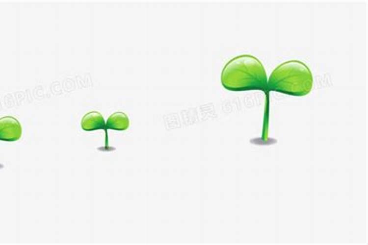 超市了买来的大蒜能种植吗？
