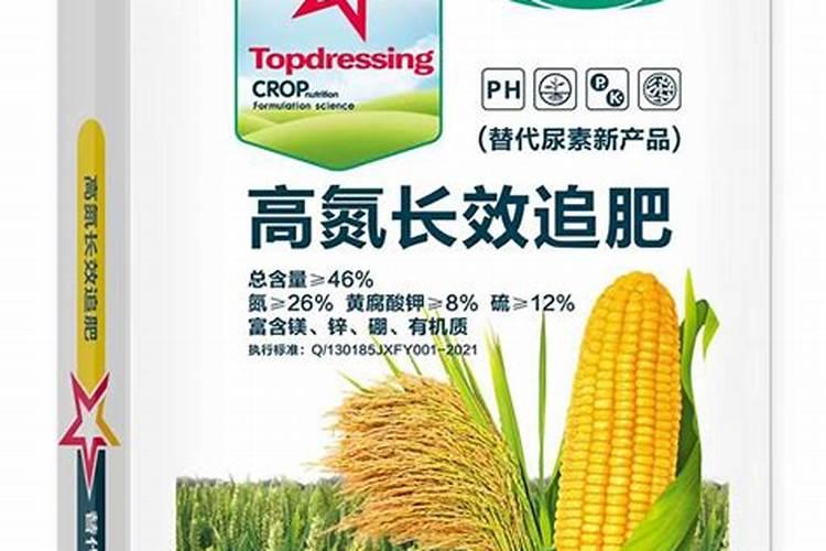 尿素和氮肥,哪个给果树施肥的效果好？为什么？