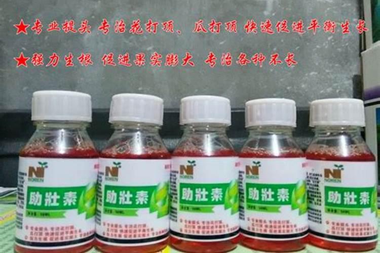 辣椒控旺用什么药