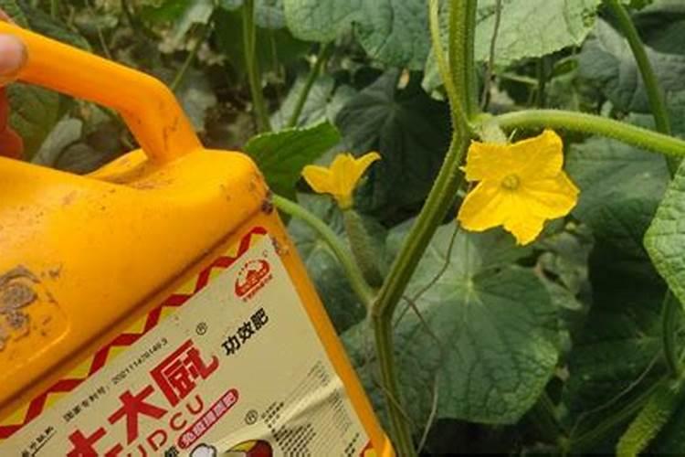 水溶肥给花怎样使用