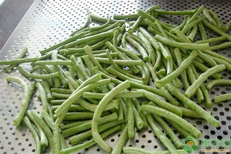 豇豆最合适的施肥时间 豇豆什么时候施肥