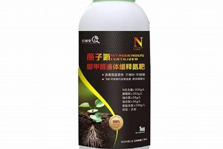 脆皮金桔栽种养护注意事项 脆皮金桔种植有哪些需要注意