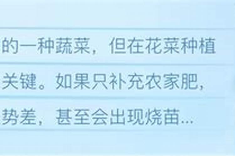 冬季下雪天可以使用水溶肥吗
