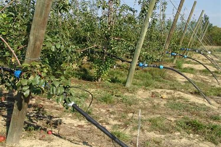 大量元素水溶肥料用法与用量