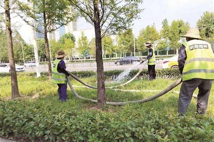 第一年的柑橘幼树怎样施肥才能长的粗壮？