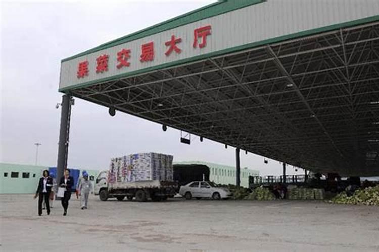 哪的叶面肥卖的好？