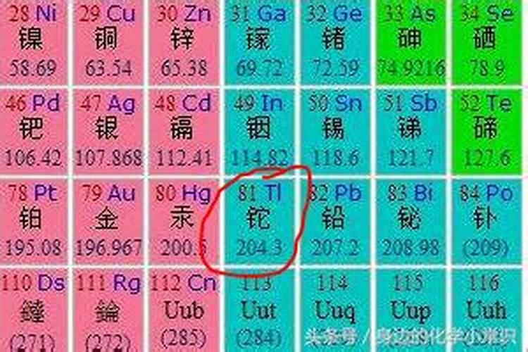 茶花树如何施肥