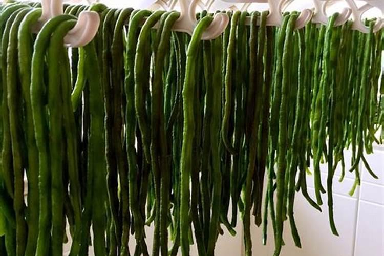 种豆角用什么肥料最好 种豆角用磷酸二氢钾肥可以吗