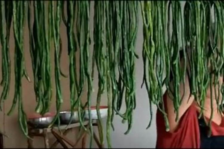 豆角专用肥料,豆角用什么水溶肥？豆角叶面肥用昆仑风比较好