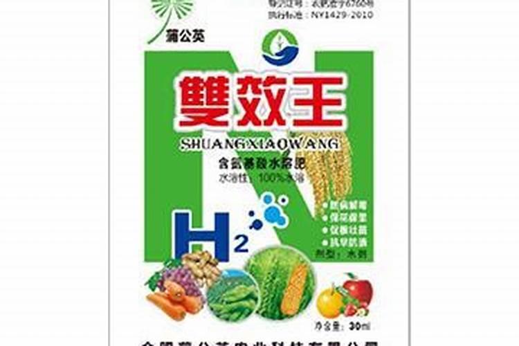 蒲公英的病害防治