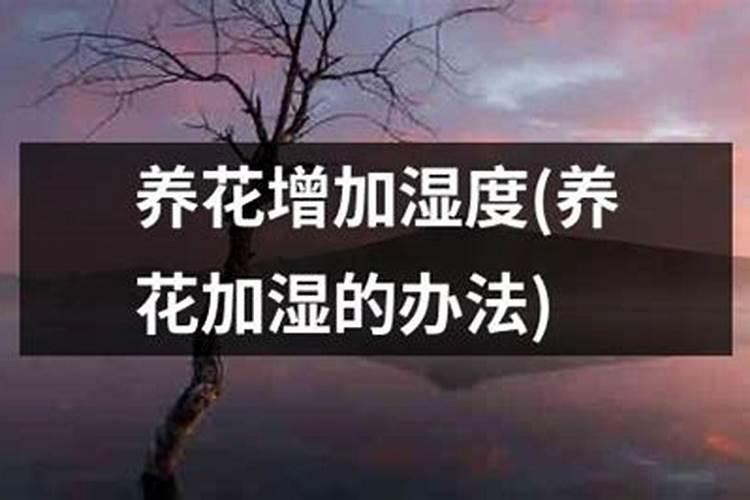 复合肥养花是兑水用好还是埋进土里效果好？
