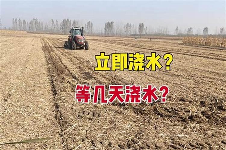 小麦喷施磷酸二氢钾还是喷施倍多？