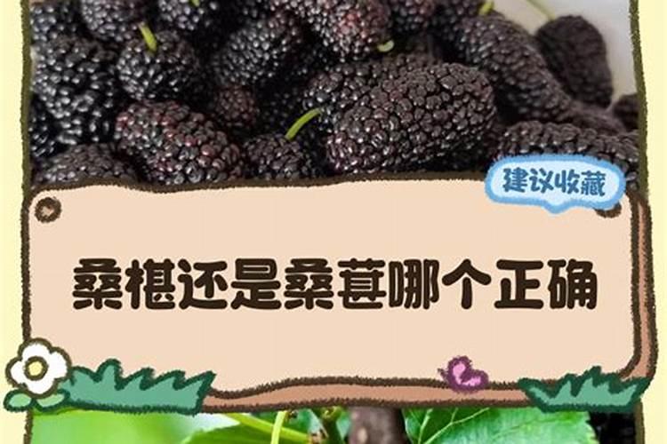 氯比脲10毫升夏季蘸黄瓜花对多少水？