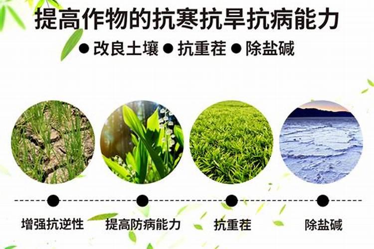 配制无土栽培蔬菜营养液可选用的磷肥有哪几种？有什么特性？