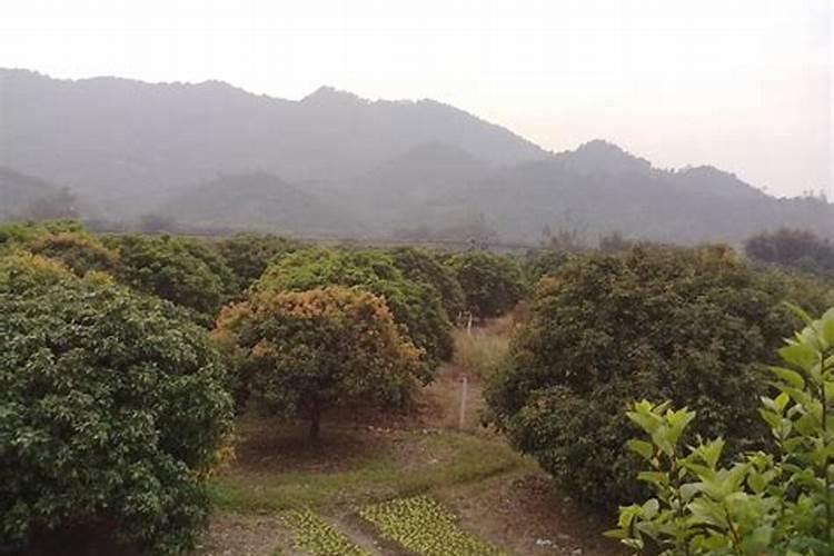 高氮高钾水溶肥什么时候使用？