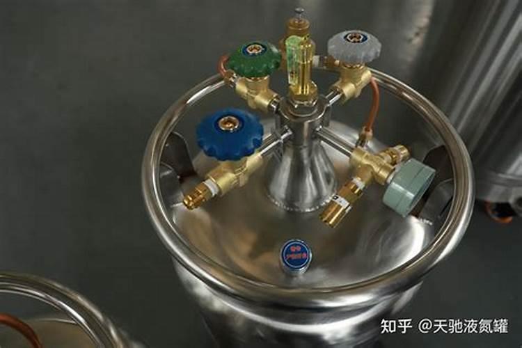 金弹子保花保果全攻略:让您金弹子花果满枝