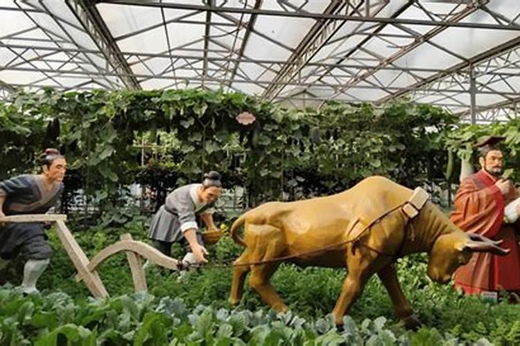 氮肥有什么肥料