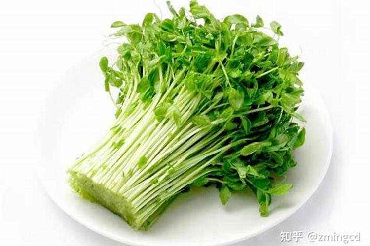 12月可以播种树莓吗？播种树莓多久发芽？