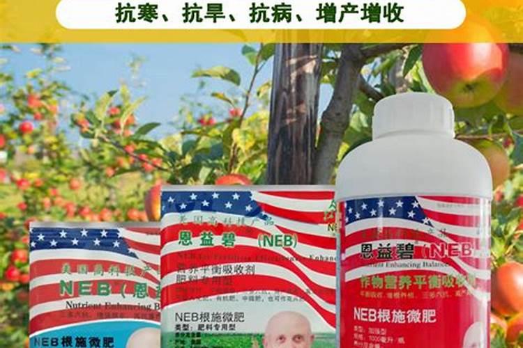 葡萄生根肥用什么好