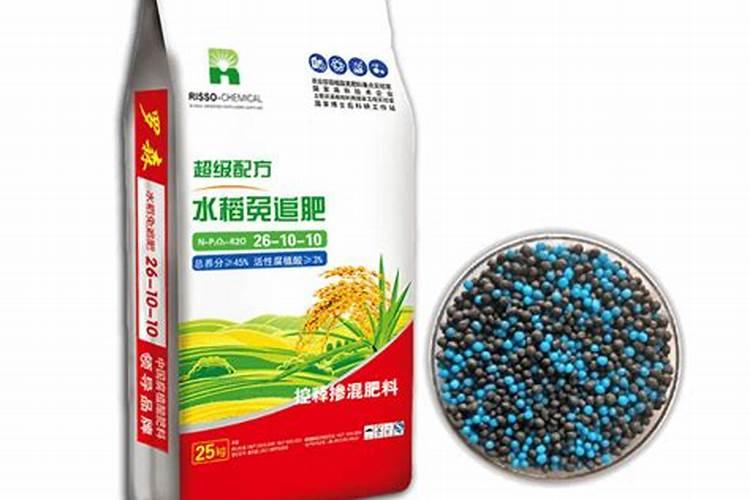 水稻用什么肥料好？