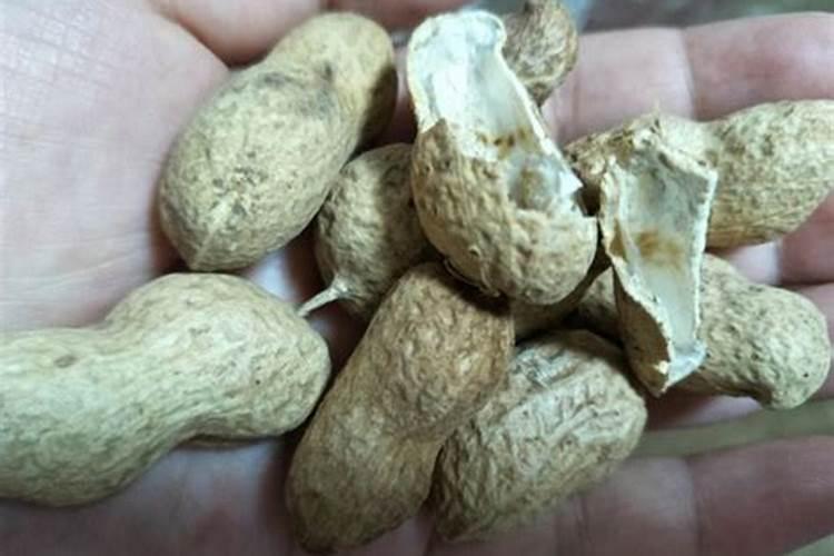 熟花生壳可以做肥料吗