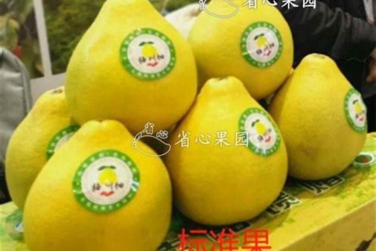 柚子树如何栽种