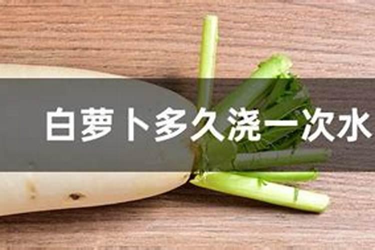 防止萝卜空心的几种方法