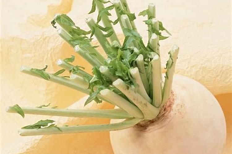 小明家的油菜只开花不结果实,需要施加的化肥是( )A.氮肥B.硼肥C.磷肥...