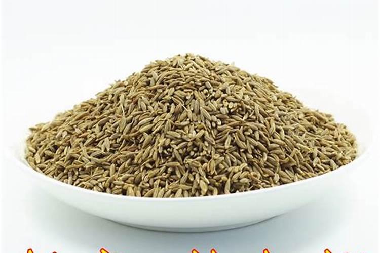 种植孜然高产方法