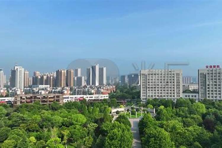 进入中国的进口叶面肥主耍有哪些家