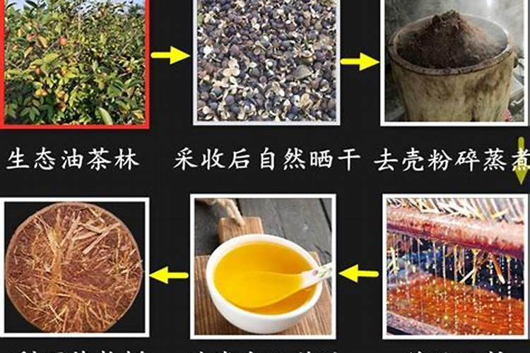 如何从几方面做好受灾鱼塘复产养殖的管理工作？