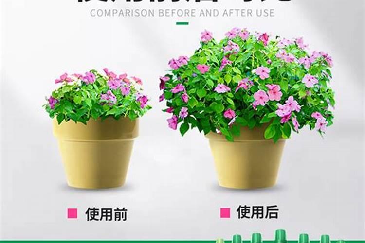美乐棵园艺肥使用方法