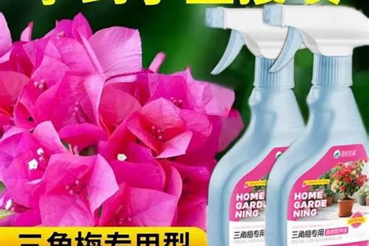 什么花肥好用 养花用营养液好还是肥料好