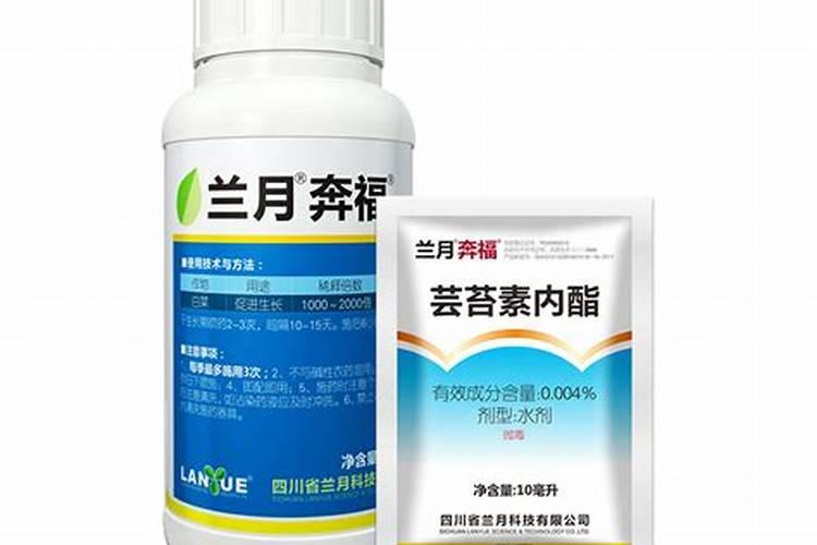 老师们看一下大白菜什么病啊,